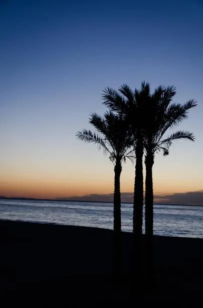 La Cana モハカル スペイン